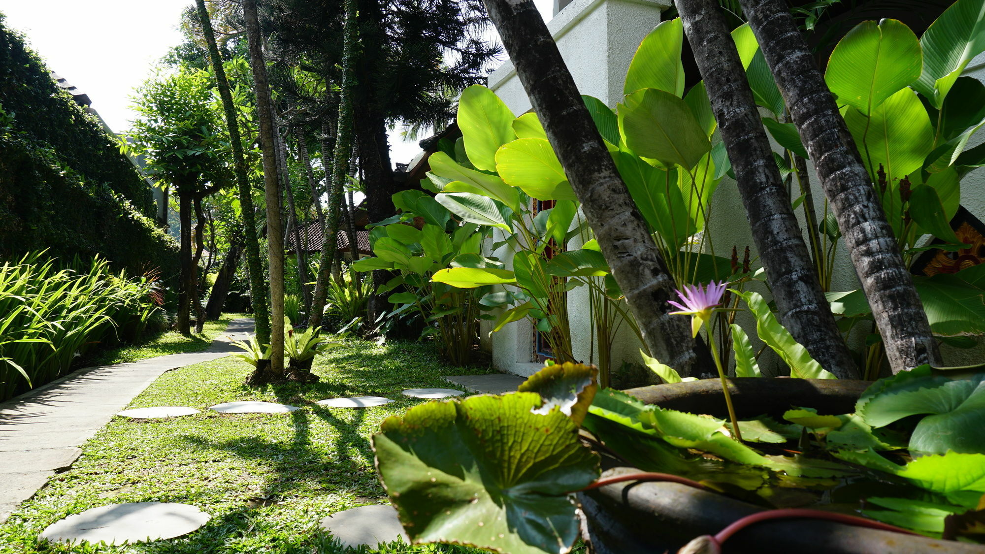Hotel House 3*